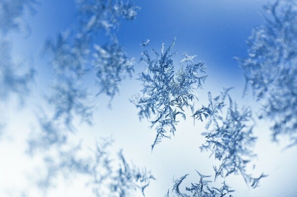 Flocons de neige golobue doux sur blanc et bleu