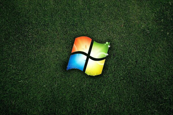 Windows logo on the green grass