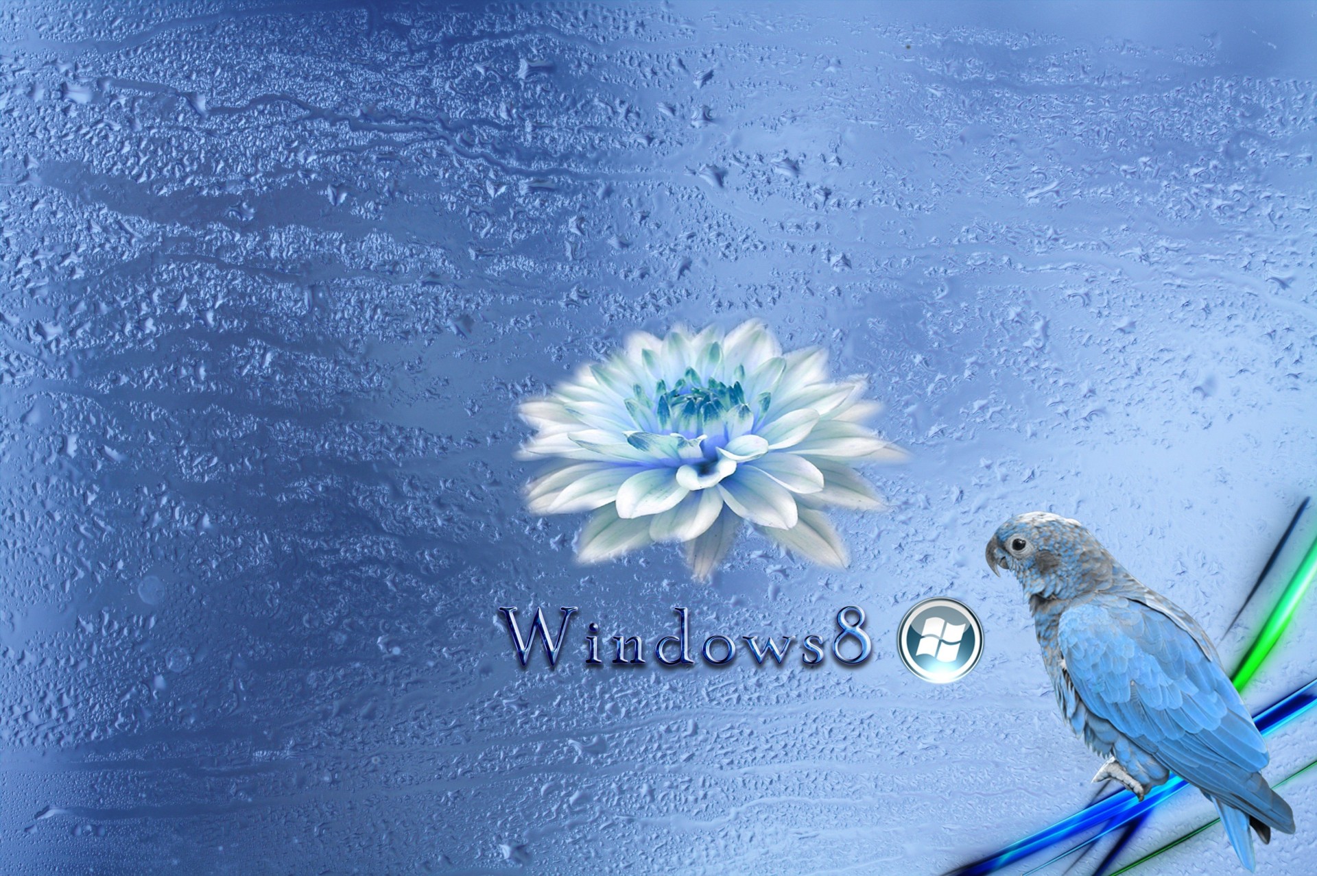 blu windows 8