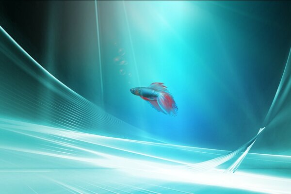 A cockerel fish in a blue space