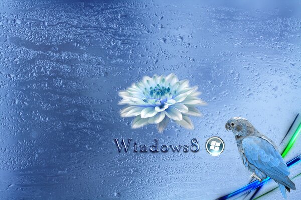 Fondo azul de windows 8 con loro azul