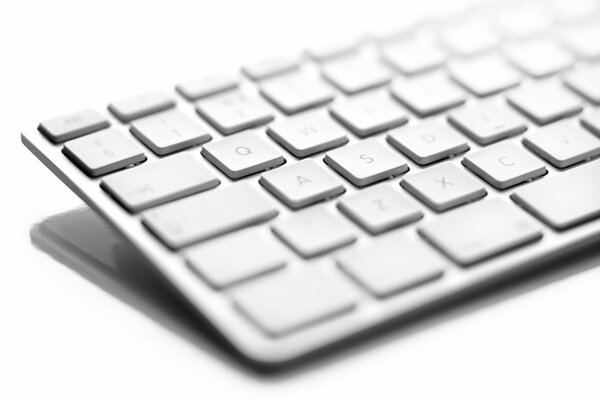 Medio teclado blanco sobre fondo blanco