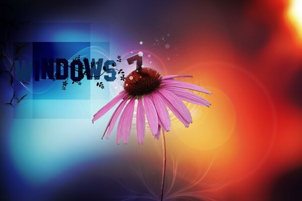 Fondo de Windows 7 con color com semicolores