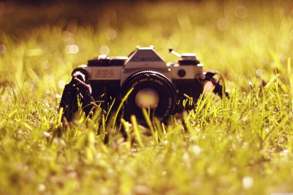 A rare camera with a bokeh effect