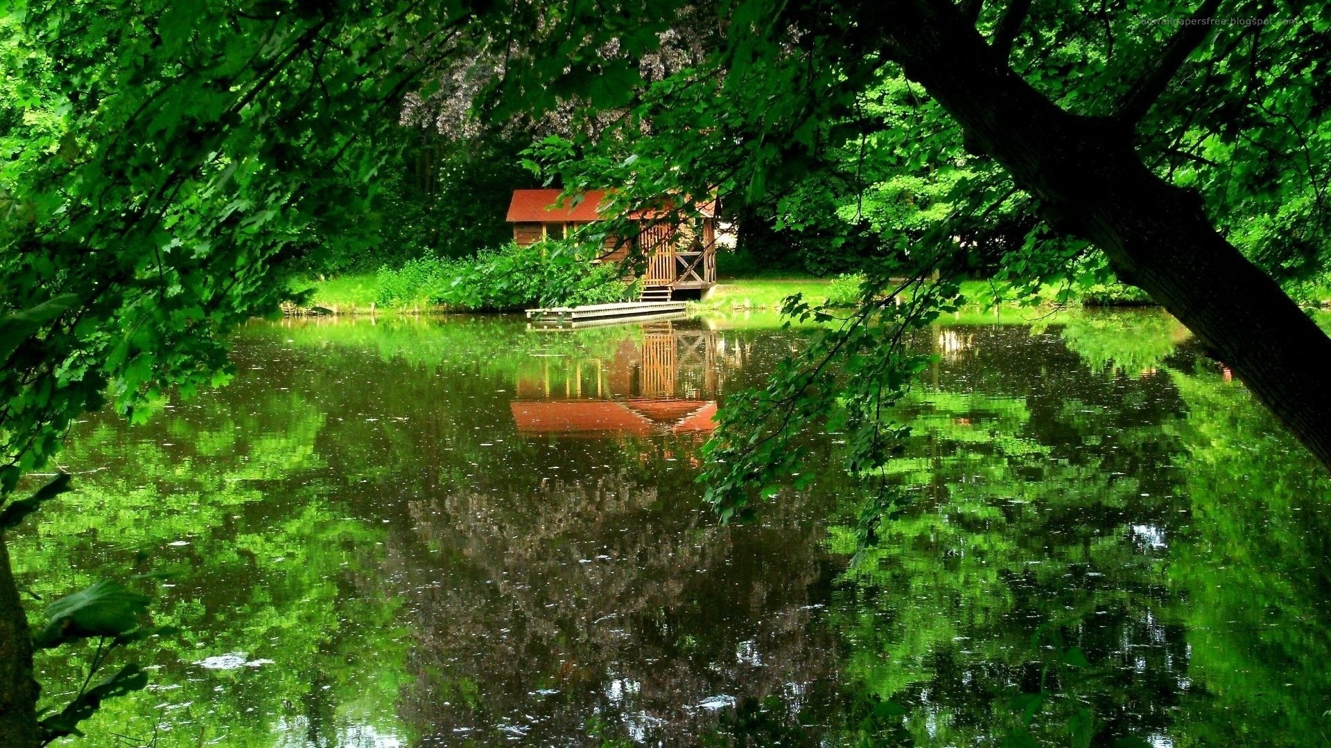 reflexion see teich haus wasser bäume