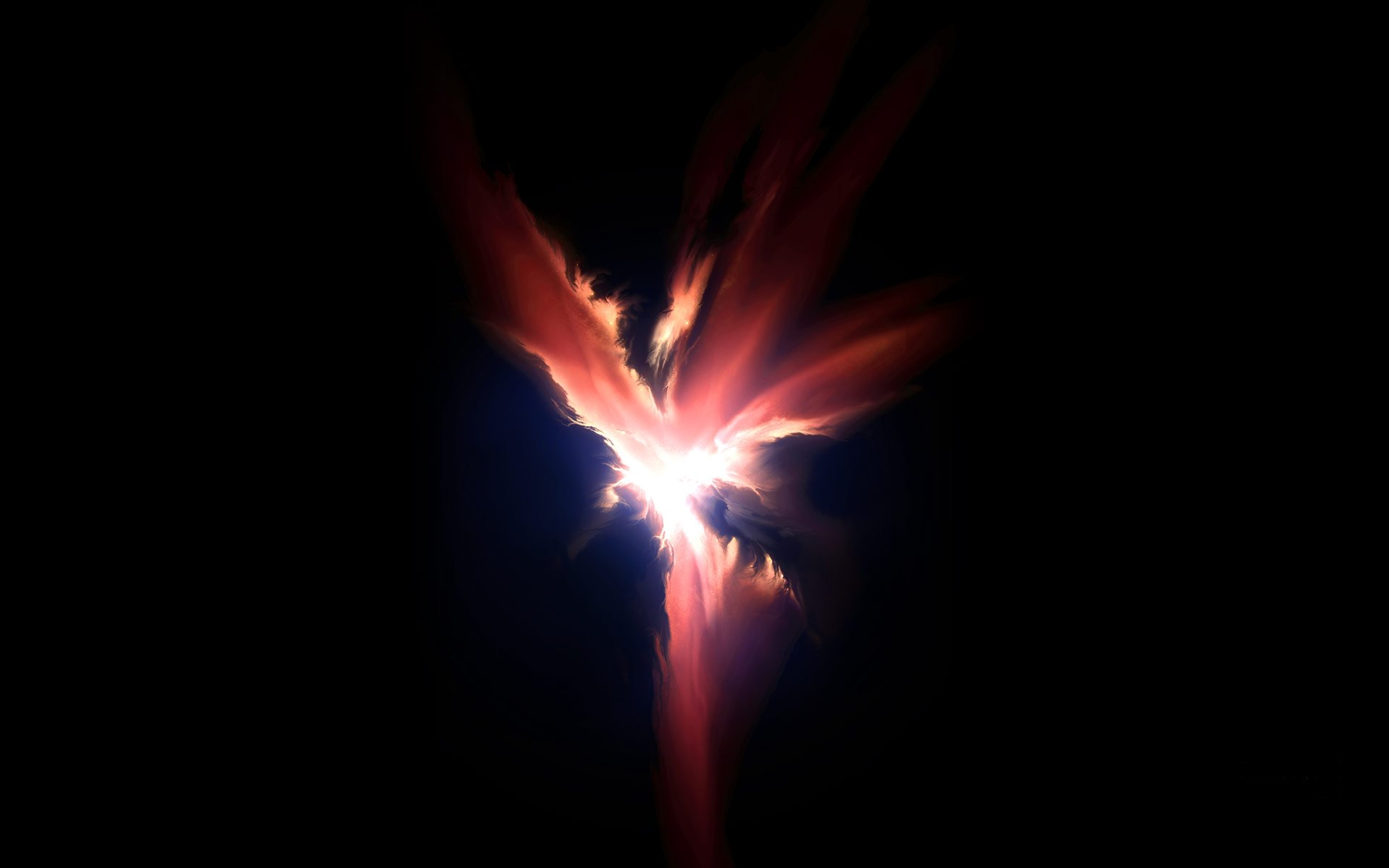 fénix contorno oscuridad luz