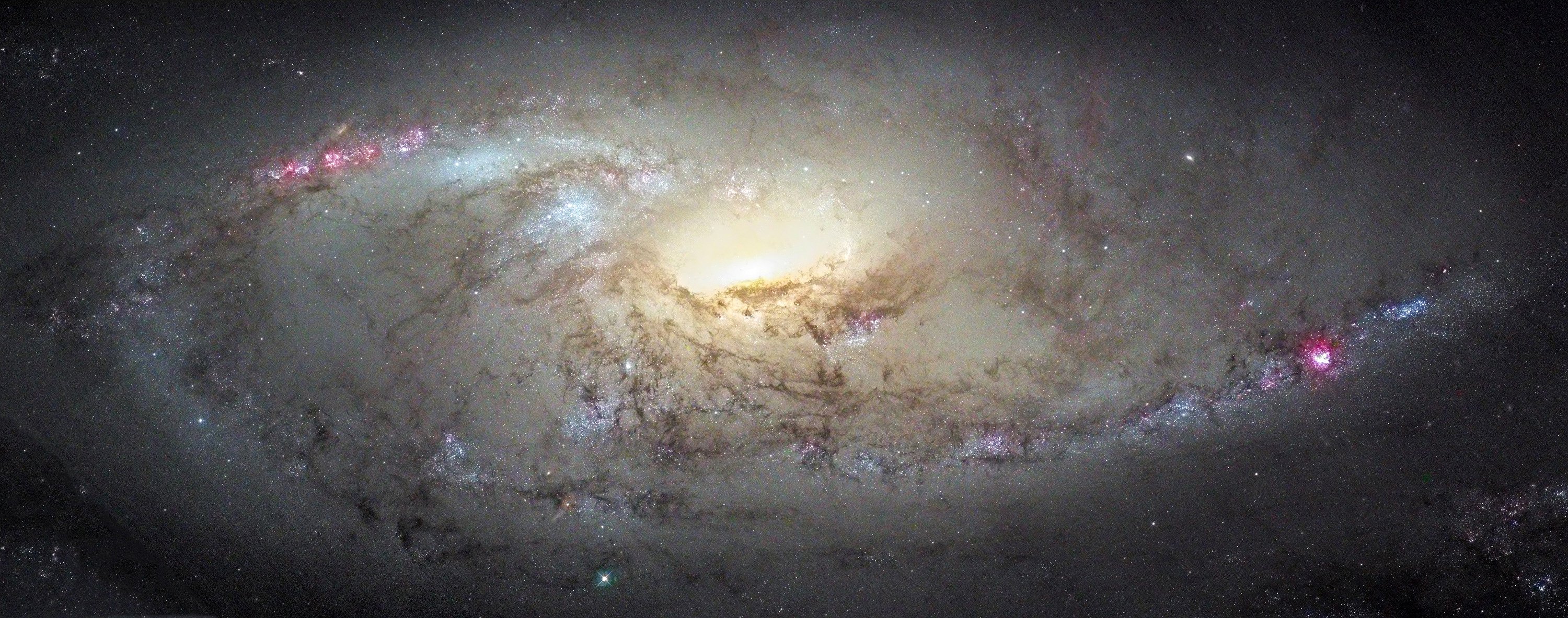 m106 ngc 4258 galaxie konstellation großer bär jagdhunde