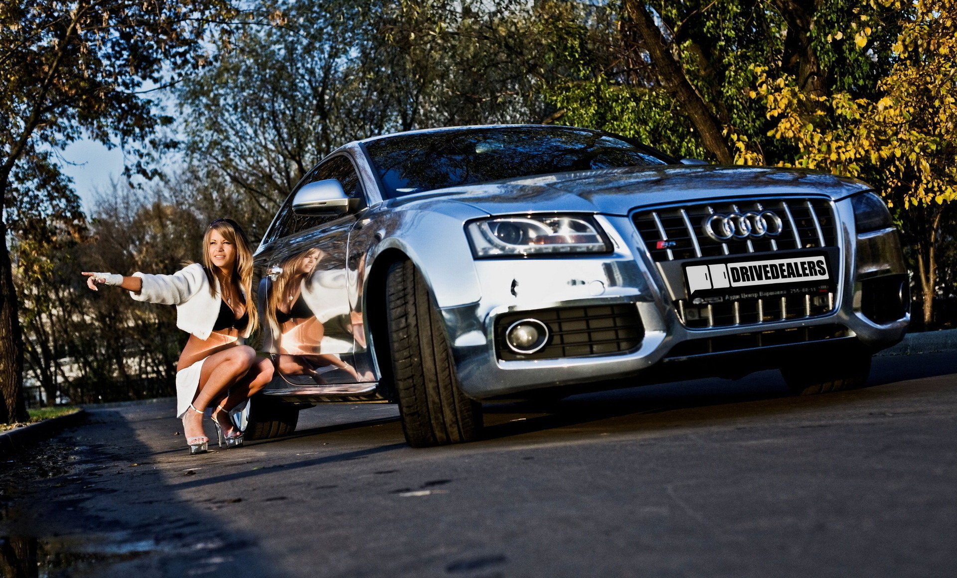audi s5 auto jesień samochód błyszczące liście chrom