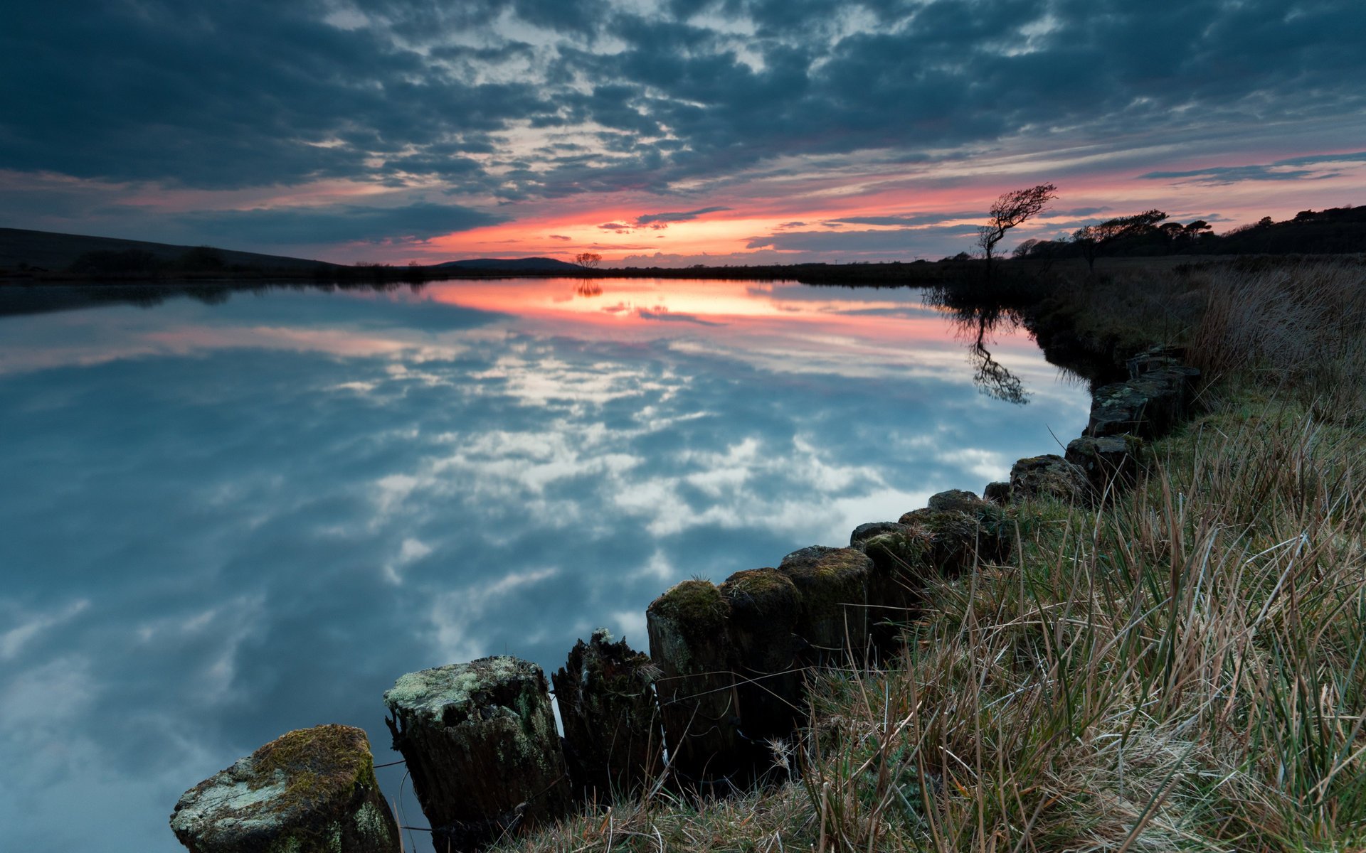 sera cielo albero tramonto lago
