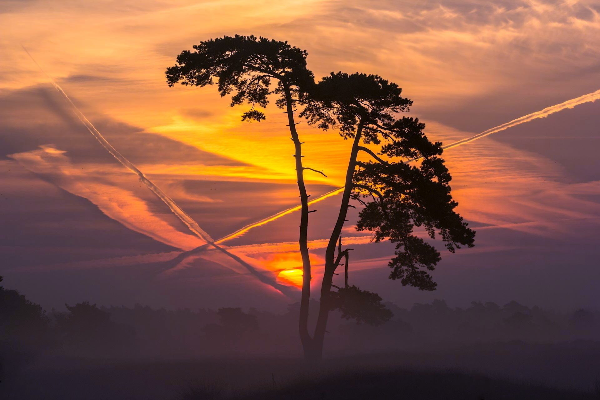 tramonto paesaggio alberi natura