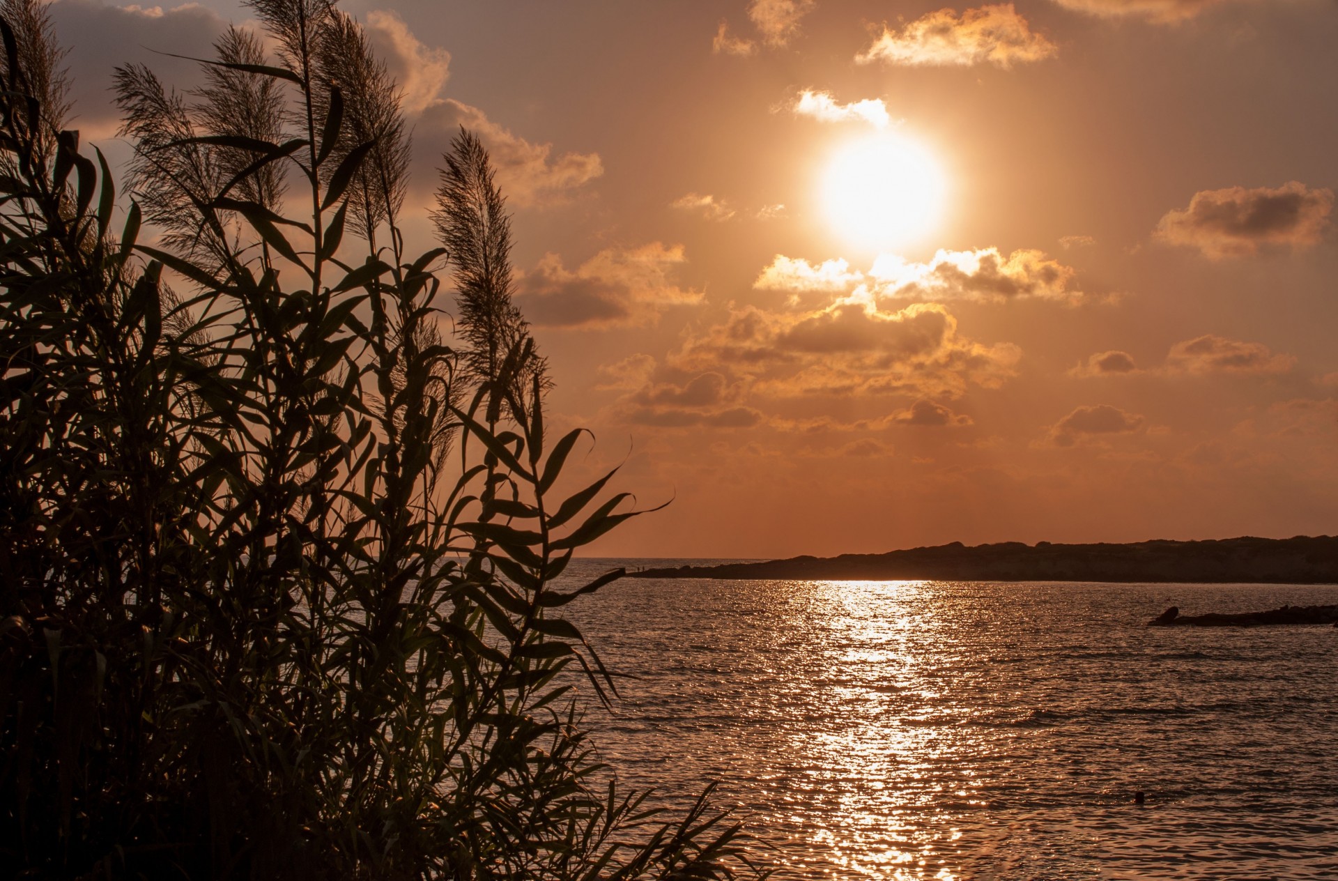 nuit coucher de soleil réflexion chaleur eau soleil mer plantes humeur sérénité éclat or