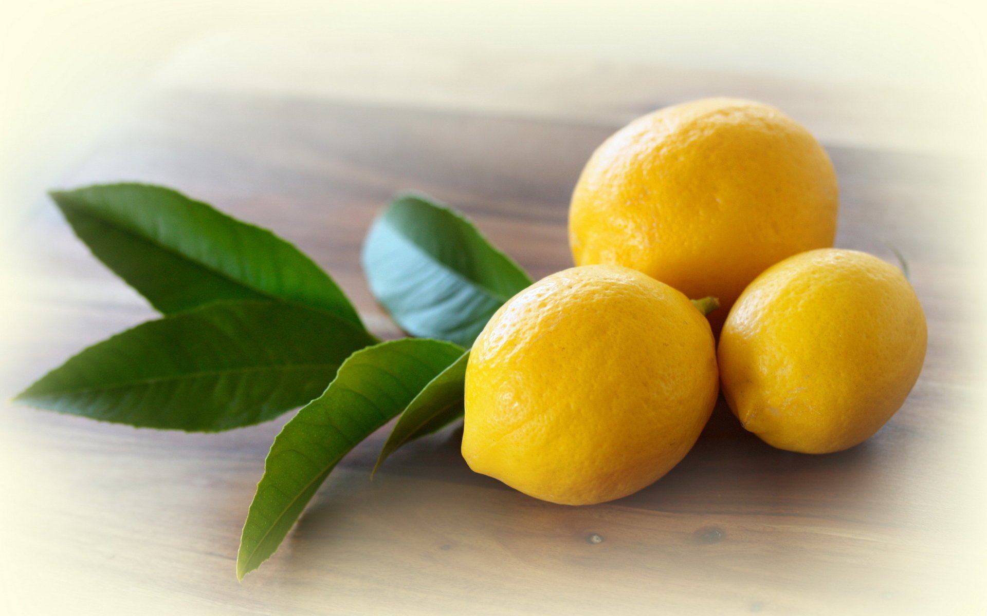 lemon macro food
