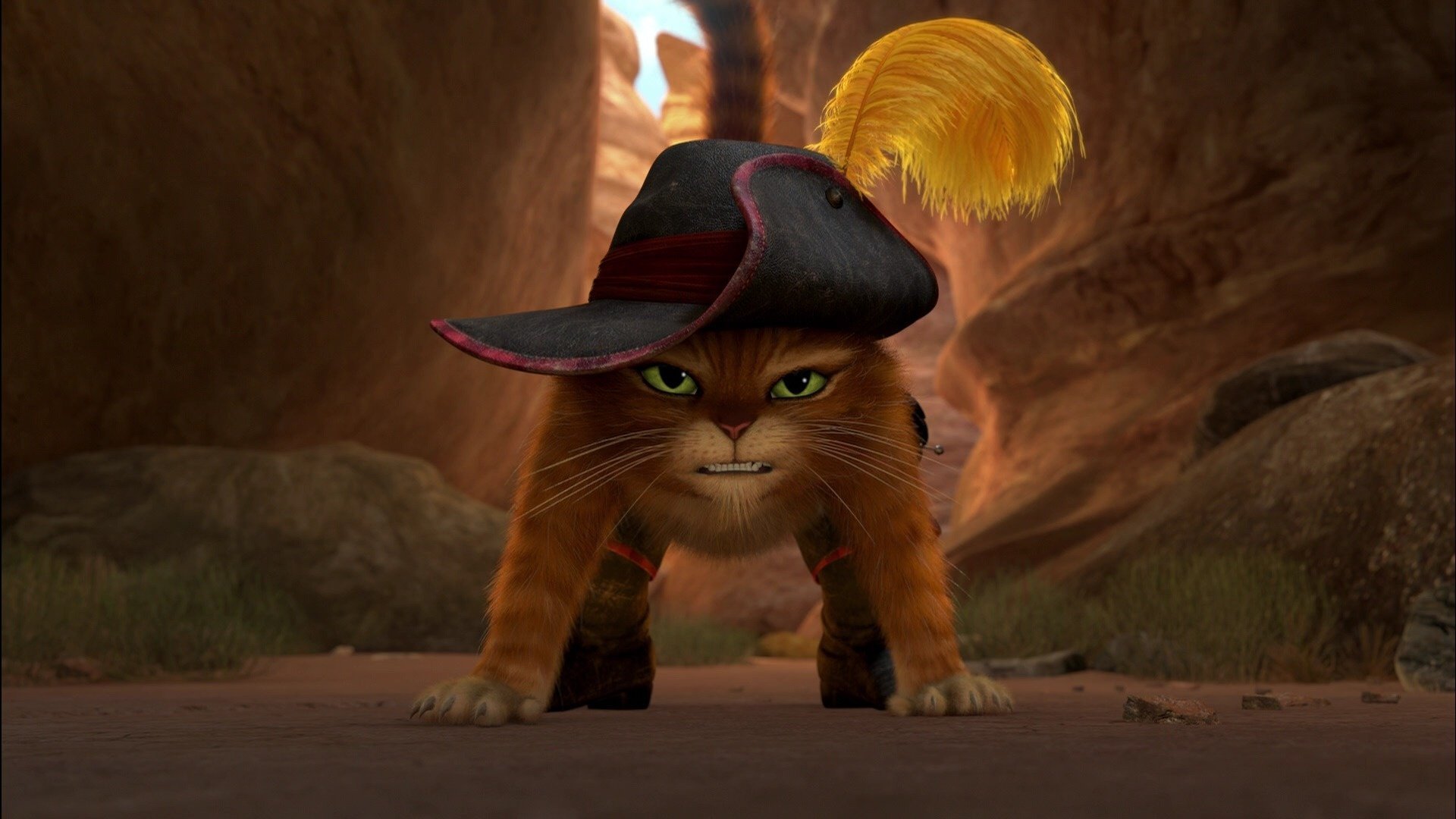puss in stiefeln puss in boots cartoon