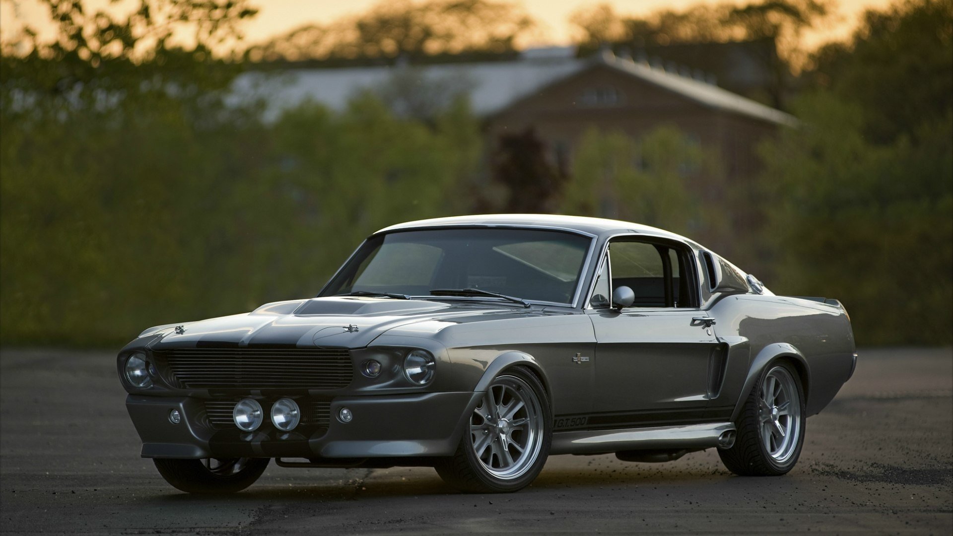 ford shelby gt 500 ford eleanor