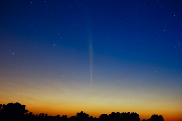 The southern hemisphere. Dawn and the starry sky