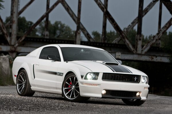 Mustang blanc muscle car