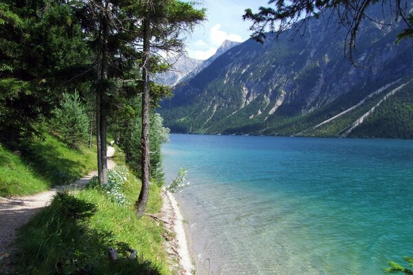Blue lake in the forest in the mountains