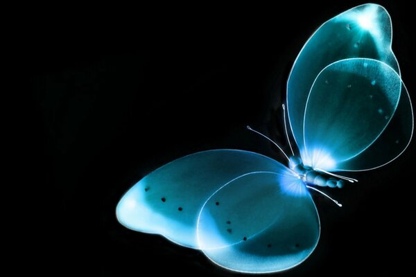 Papillon avec effet de rayons x sur fond noir
