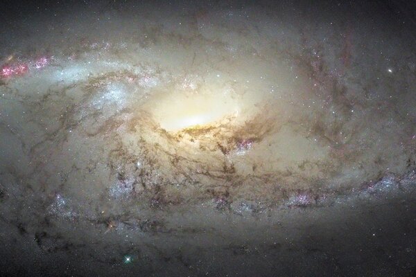 Costellazione dell Orsa Maggiore nella galassia