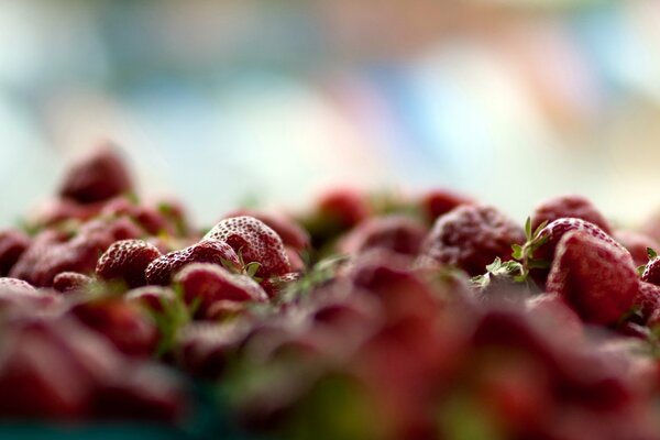 Riprese macro di bacche di fragola
