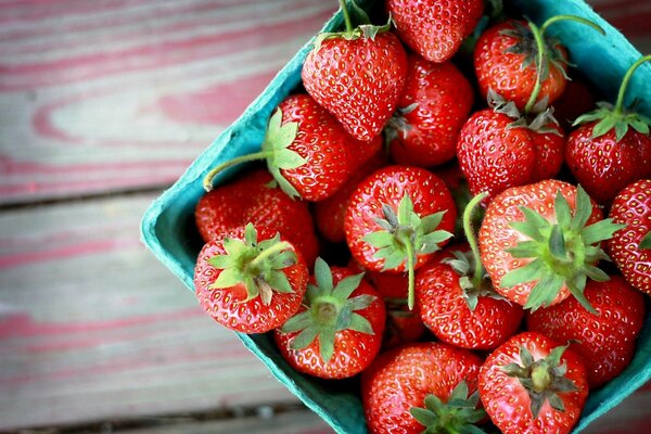 Deliciosas y fragantes fresas vacaciones de verano calor