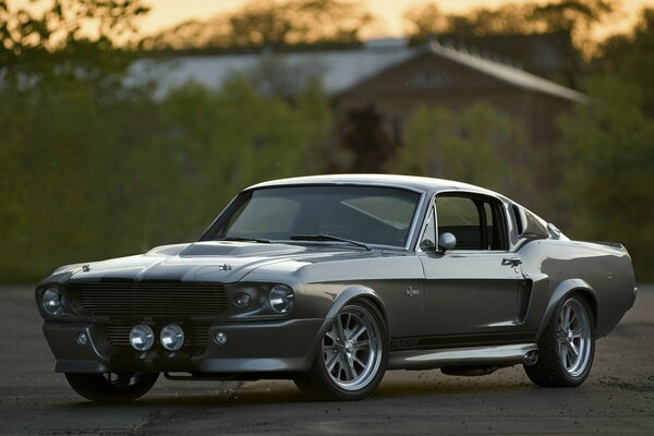 Ford Shelby in the suburbs
