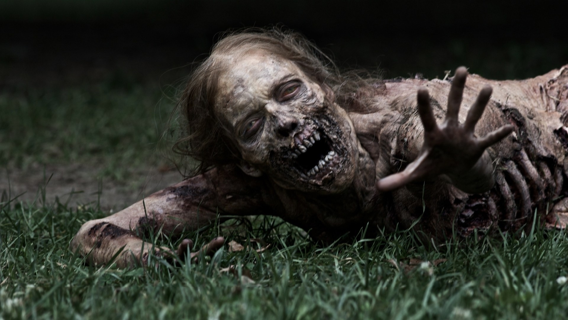 serie gras zombies seriell walking dead