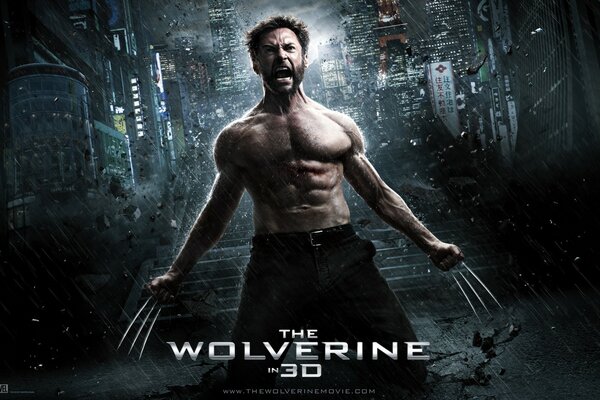 Wolverine wściekły z luźnymi pazurami