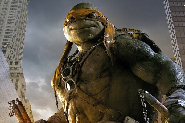 Fantastisches Filmmaterial mit Ninja Turtles