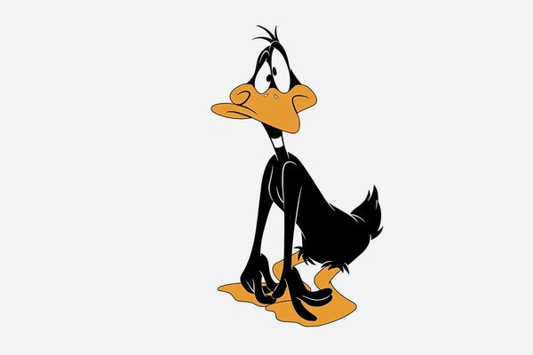 Cartoon duck on a white background