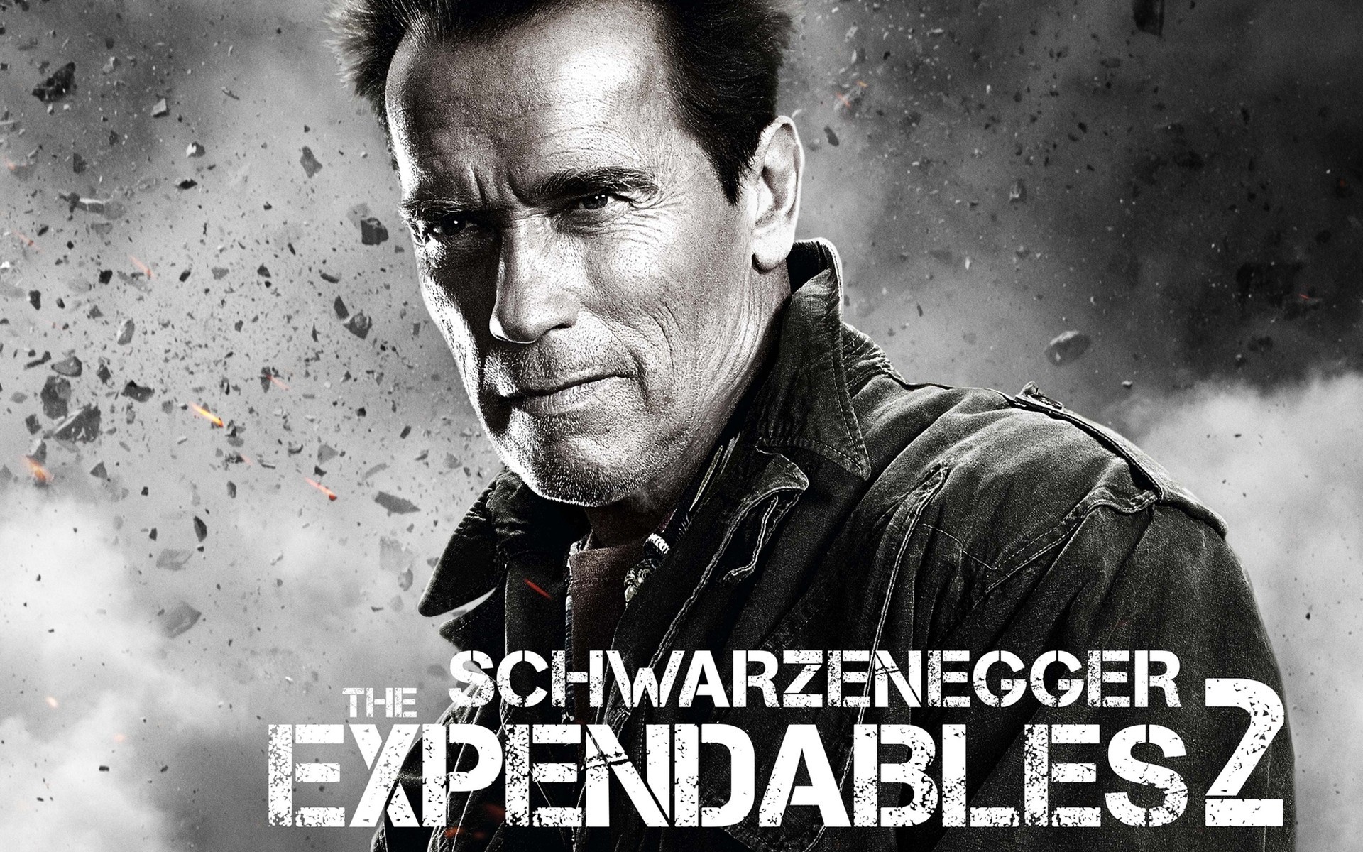 arnold schwarzenegger thriller the expendables views men actor