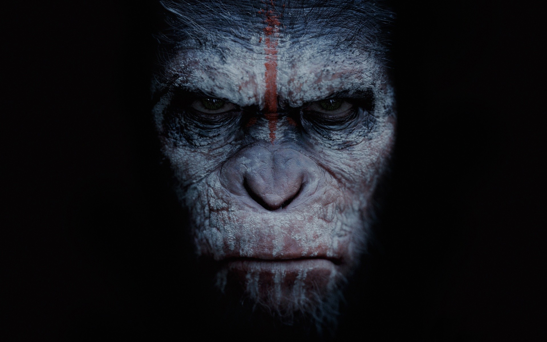 planet of the apes revolution views animals fiction monkey