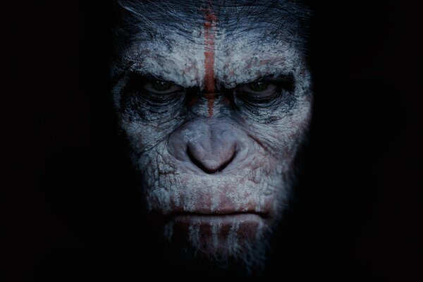 The monkey from the movie Planet of the Apes