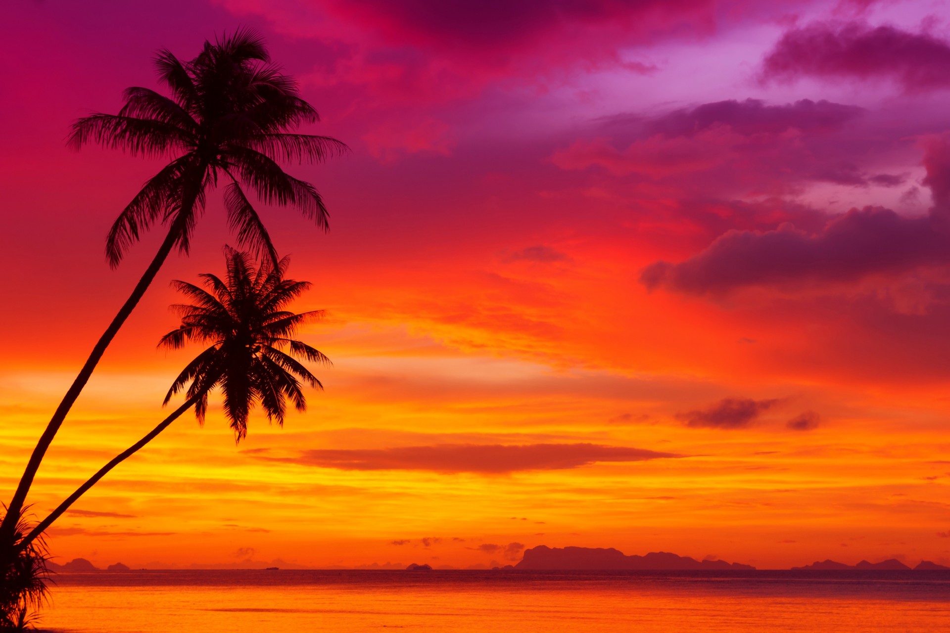 playa palmeras puesta de sol naturaleza trópicos costa cielo paisaje playa tropical hermoso cielo rojo océano