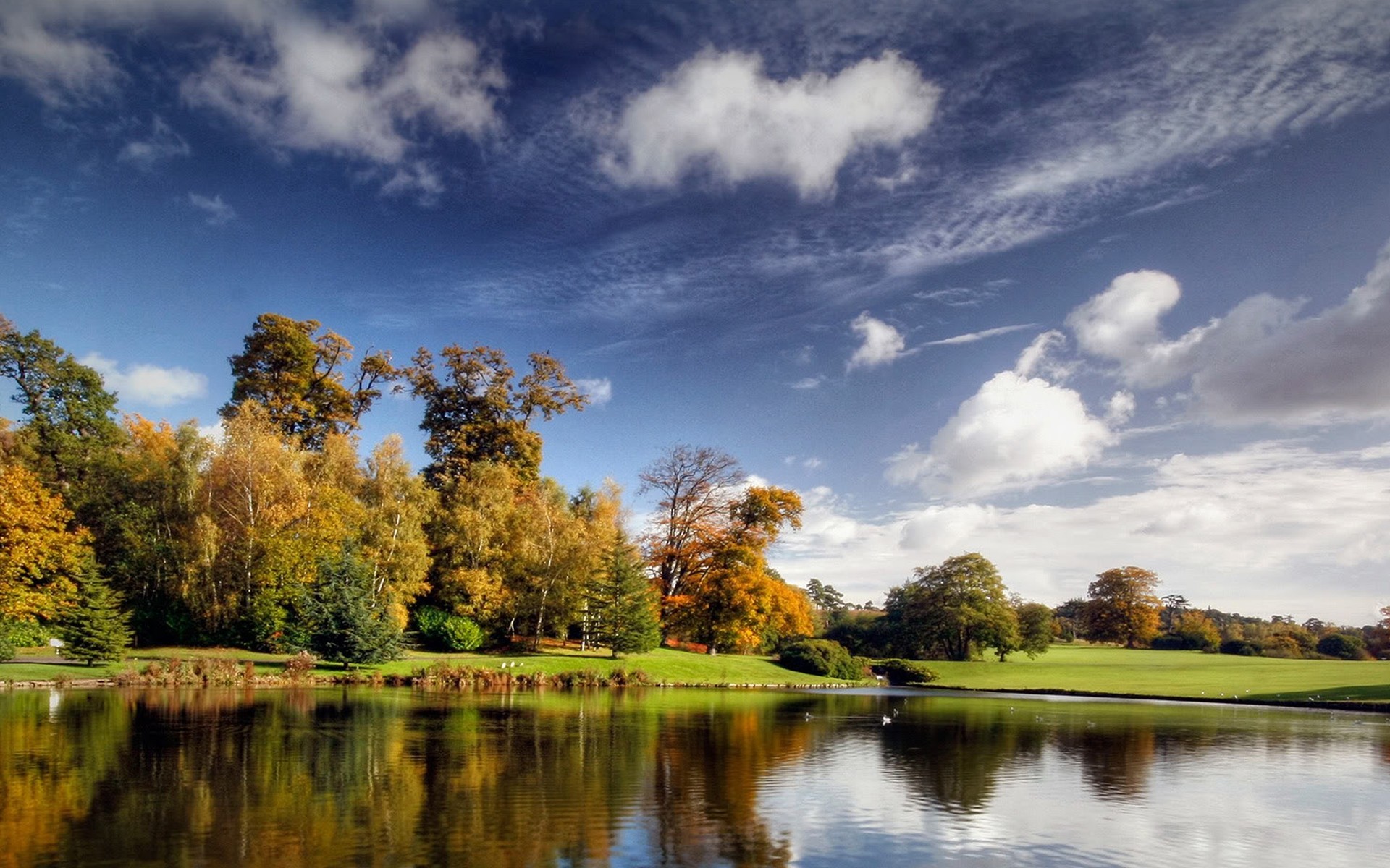 reflection lake tree forest sun sky landscape autumn