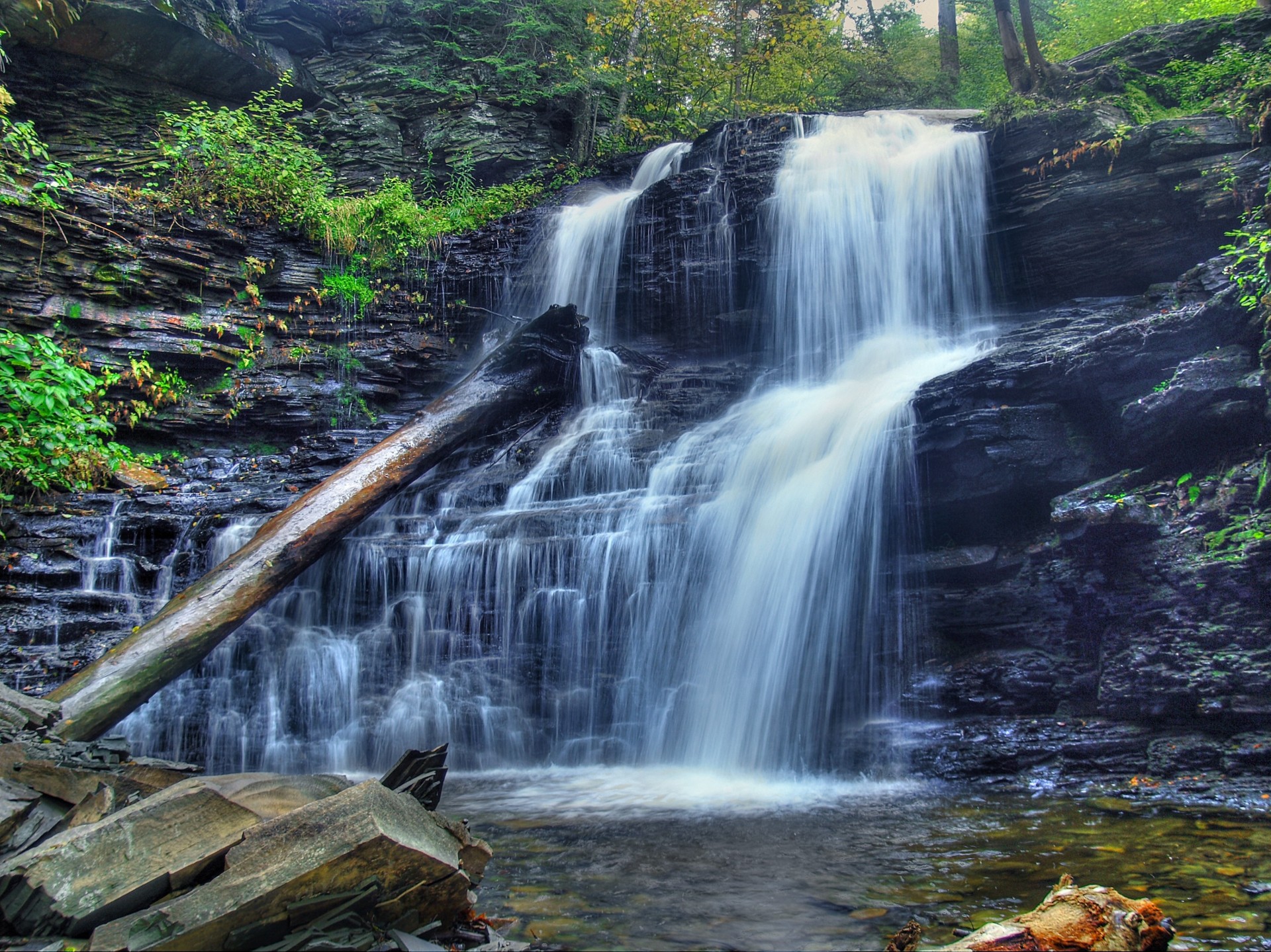 arbres rivière cascade cascade nature