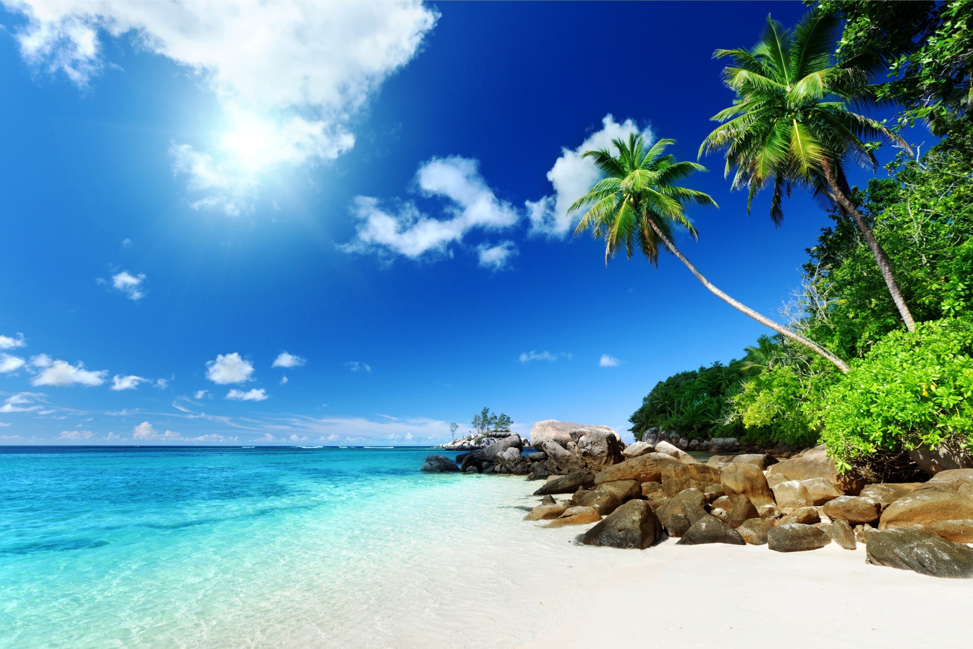 steine strand palmen natur tropen sommer sonne himmel sommer