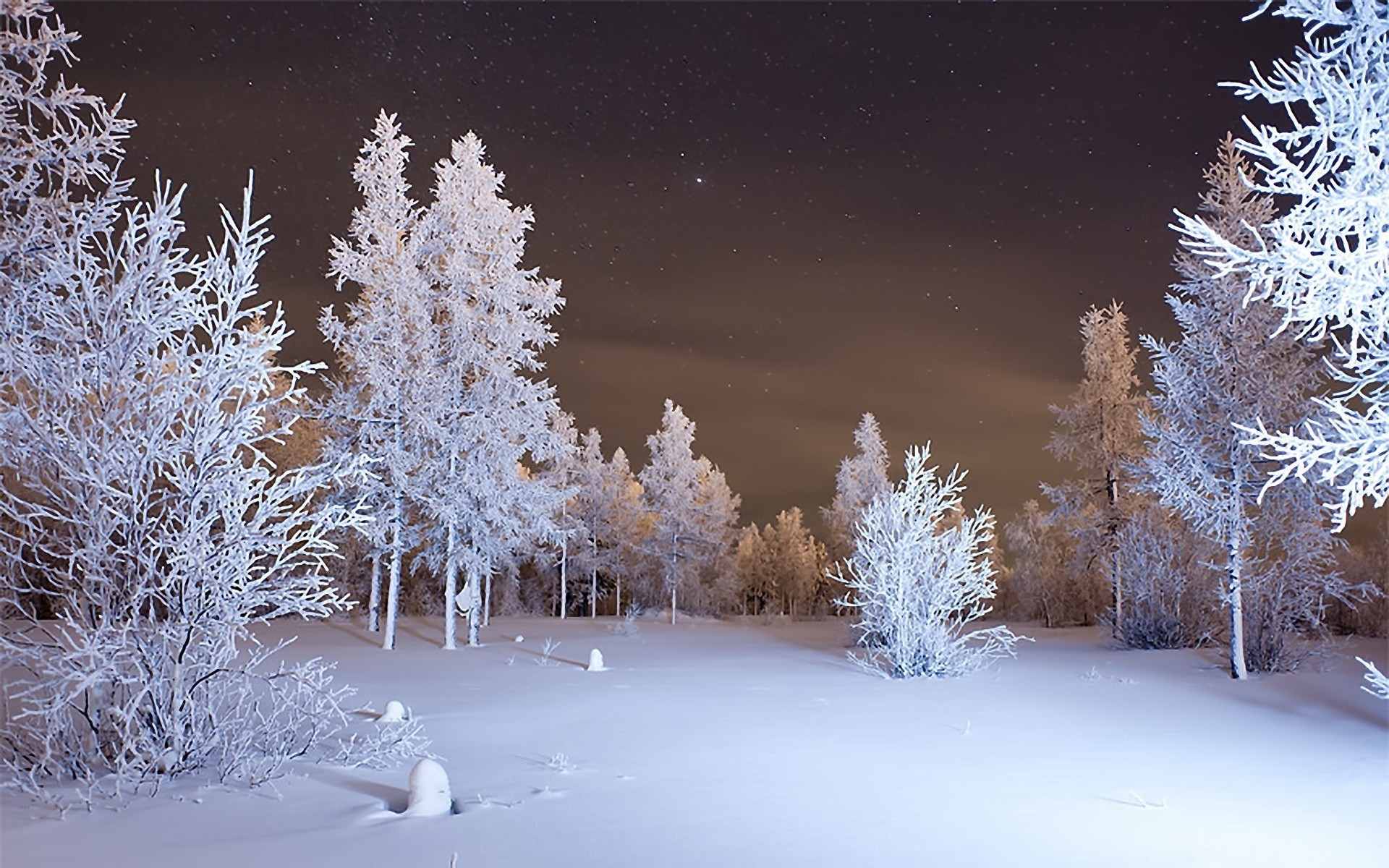 schnee nacht