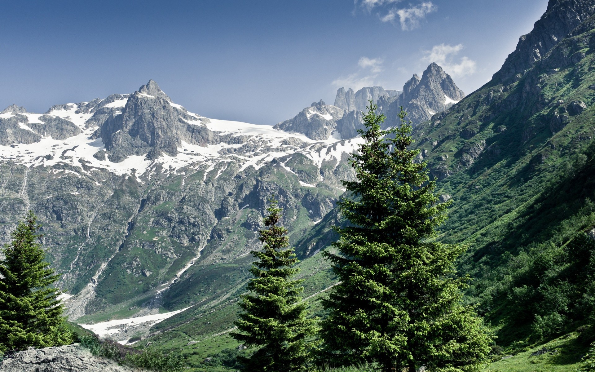 été alpes forêt montagnes nature