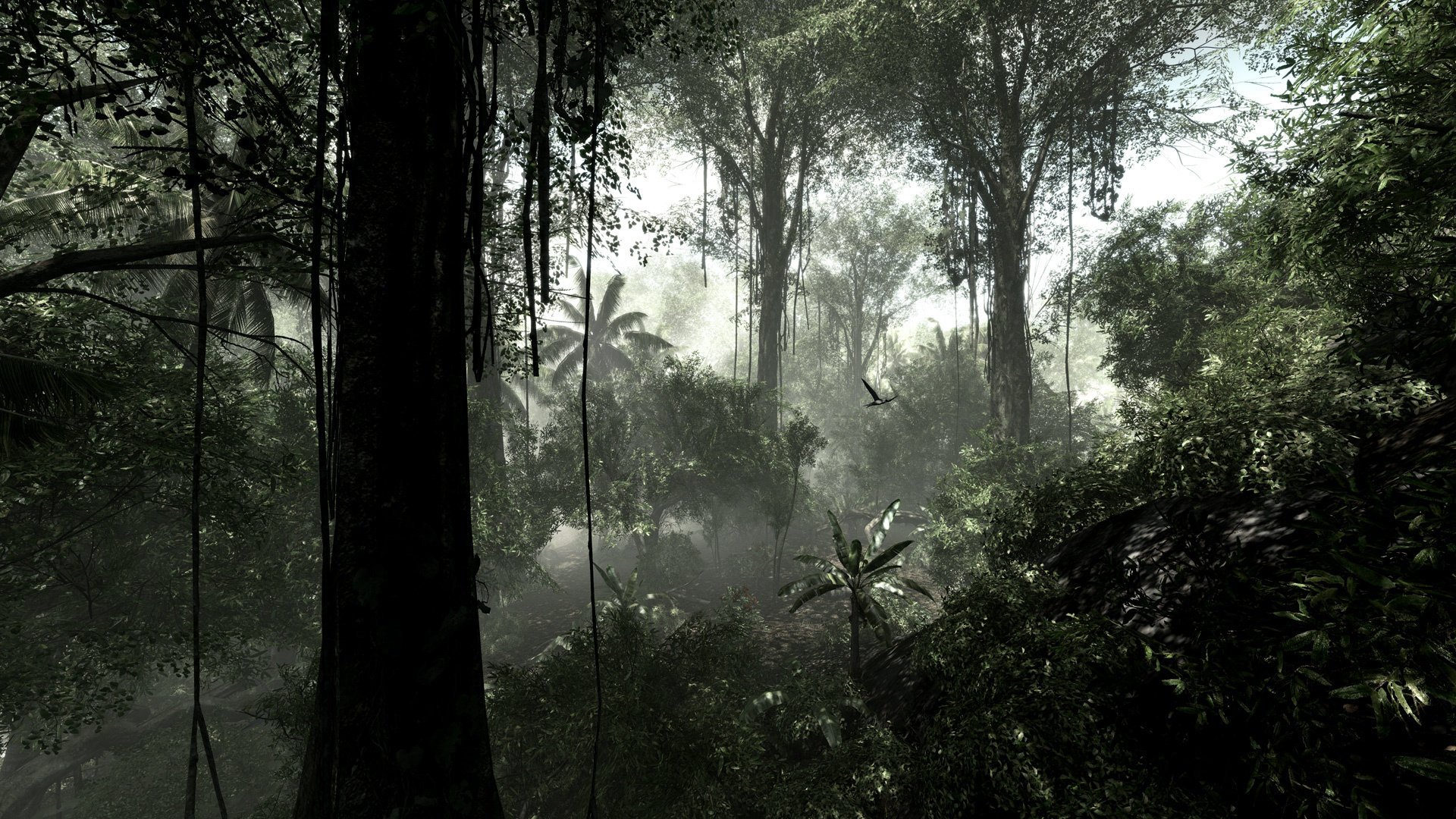 selva rampicanti foresta pluviale alberi bush giungla