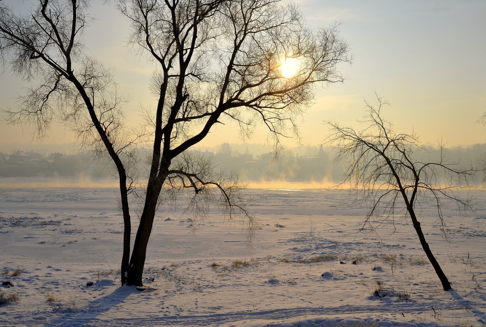 kaunas lituanie gens arbres brume neige lumière