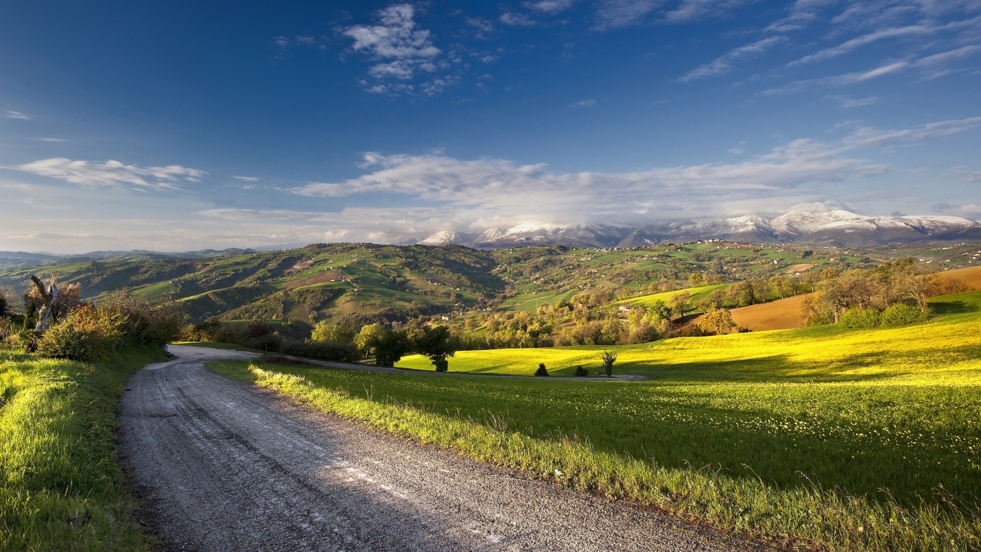 feld straße landschaft sommer