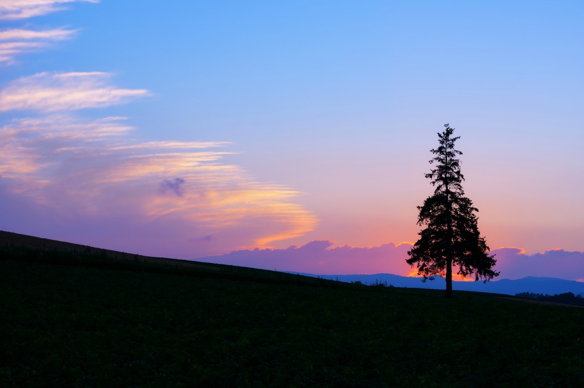 unset clouds tree night sky bright the field blue