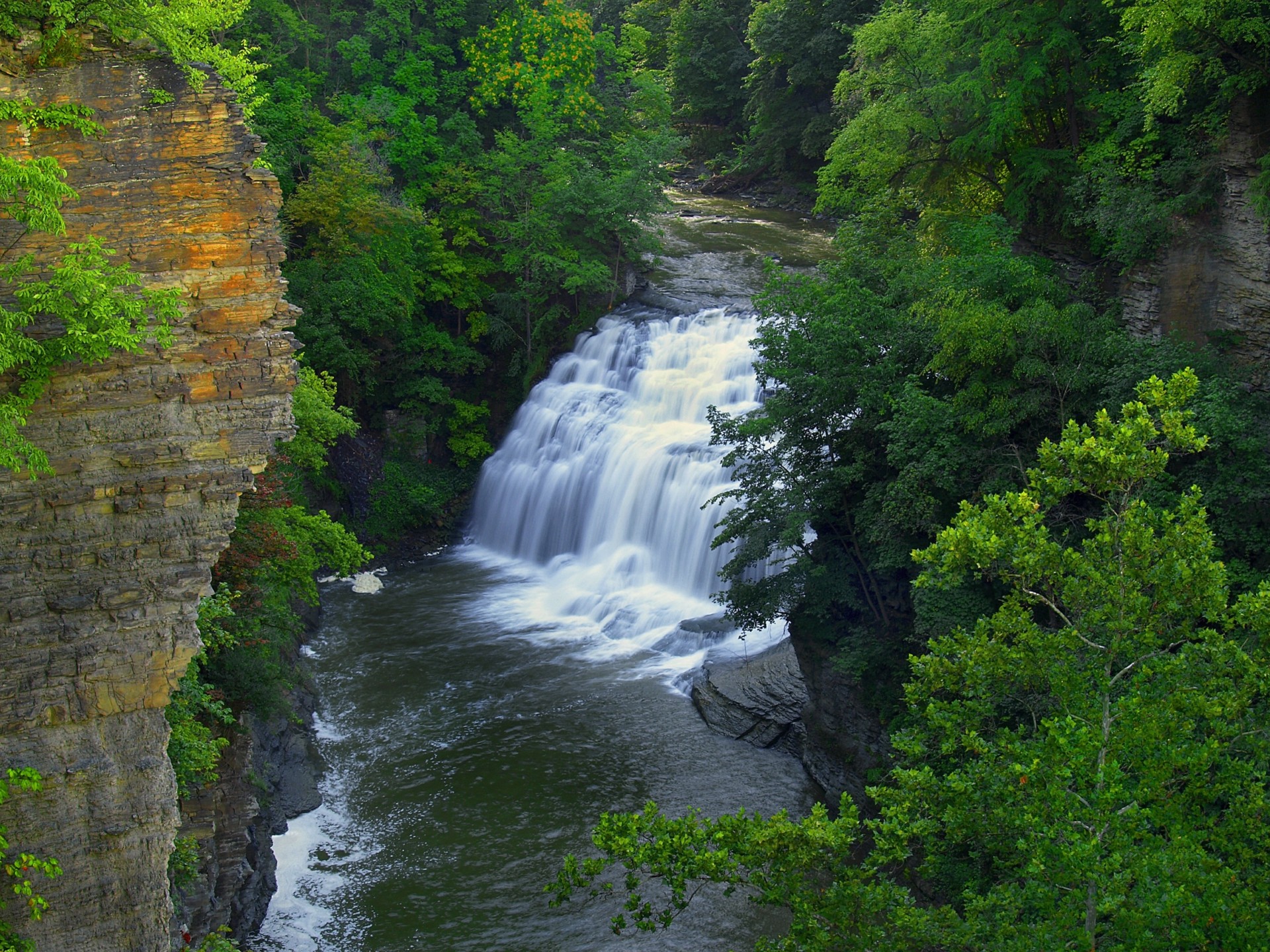 tree rock waterfall river nature