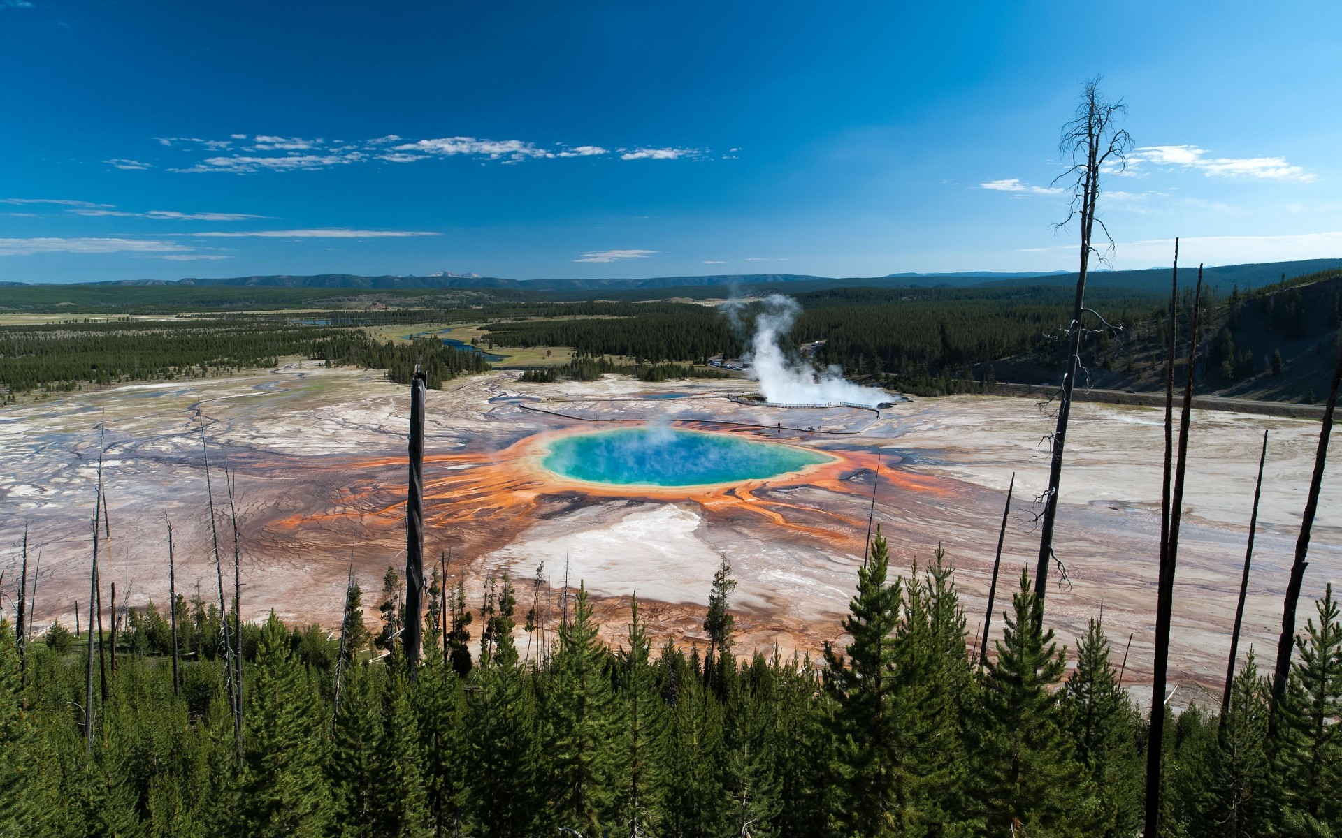 parc national de yellowstone yellowstone grande source prismatique arbres panorama