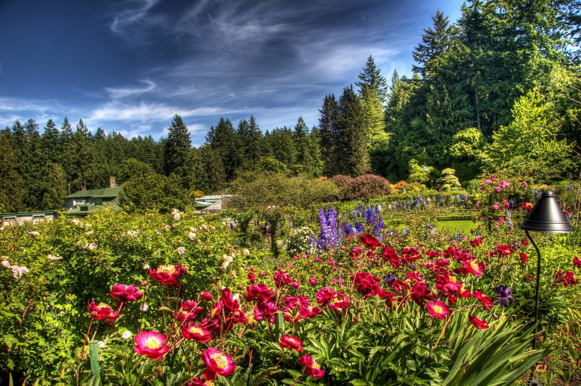 lightness light sky flower clouds bright flora green supplie