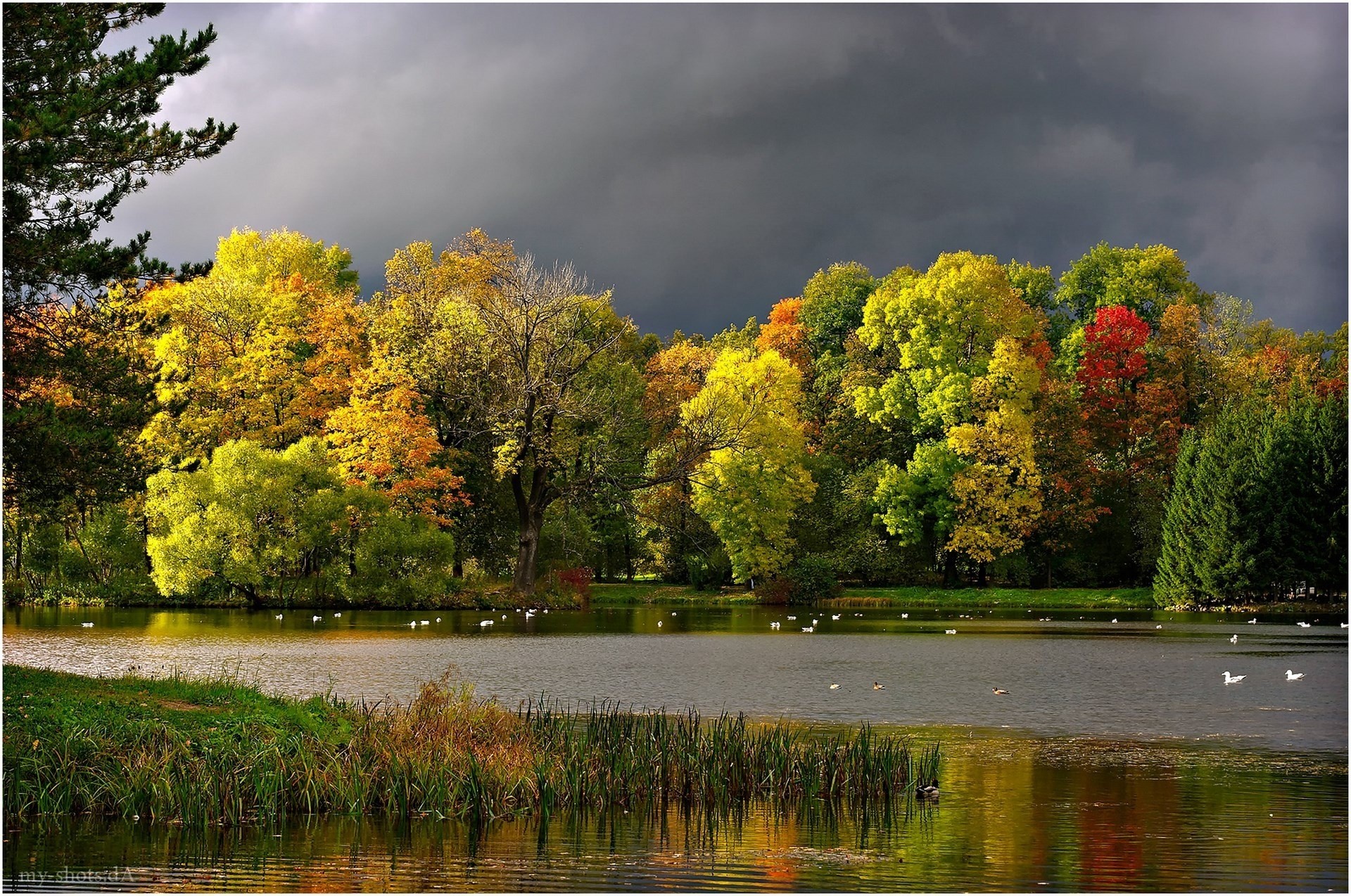 autumn landscape clouds gulls pond