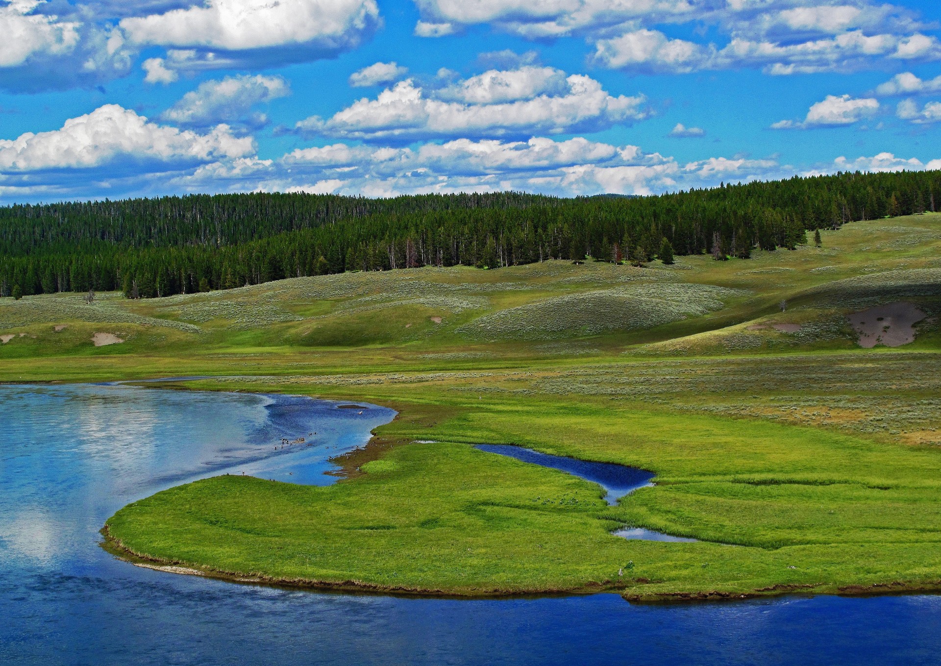 rivière parc national de yellowstone collines nature forêt états-unis