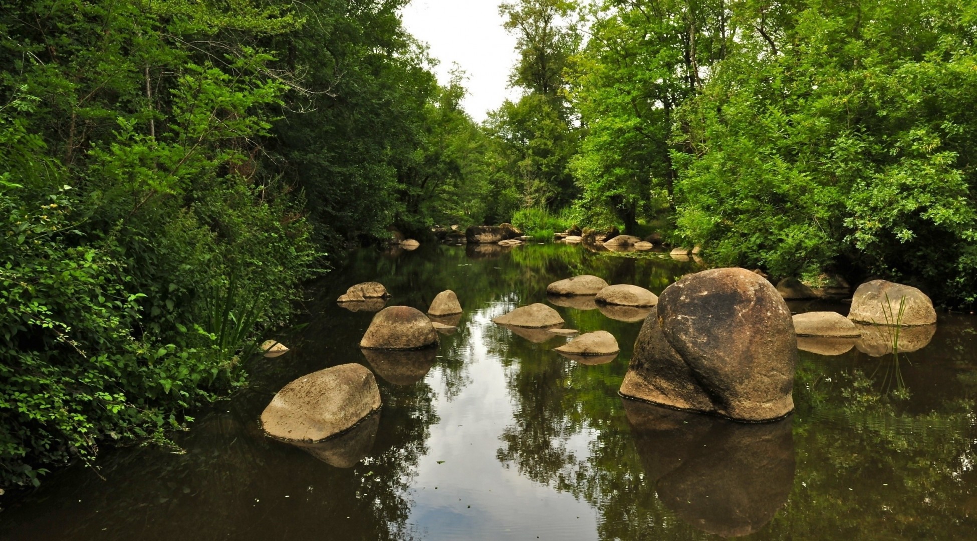 steine angeln fluss natur thema wald urlaub schön