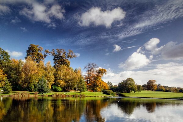 Autumn forest on the lake shore